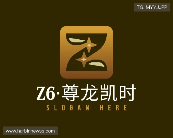 了解Z6·尊龙凯时